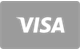 Visa card payment accepted at SpinORhino Casino